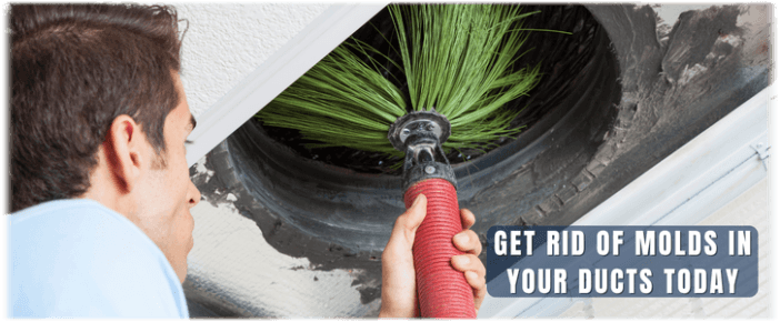 Air Duct Mold Removal in Katy
