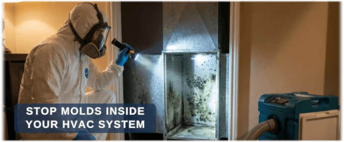 HVAC Mold Removal Katy